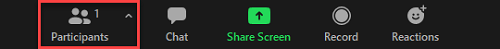 Zoom Meeting Controls